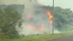 Požiare naďalej zúria aj v Taliansku, pustošia farmy a olivové háje