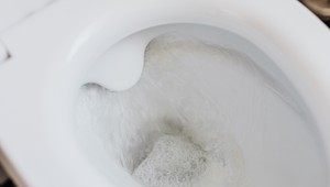 Žena na záchode zažila šok: Plávali na hladine a bolo ich veľa!