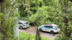 Sestra obete vraždy z Dubnice nad Váhom: Policajti situáciu zľahčovali