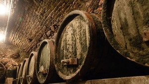 Burčiaková idylka sa zmenila na boj o život. Traja ľudia sa priotrávili v pivnici