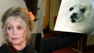 Trpká pravda Bardotkinho života! Milovala zvieratá viac ako vlastného syna, vymenila by ho za psa!