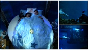 Noc medzi žralokmi. Mladý pár vyhral nezabudnuteľný zážitok