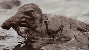 Ropa už znečisťuje aj Mississippi