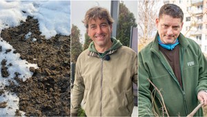 Objavili ste zrazu vo svojej záhrade nezvyčajne kyprú pôdu? Nie je za tým krtko, ale TOTO!