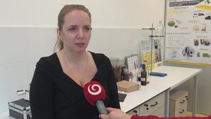 Alternatívne palivá: Budeme jazdiť na burinu?