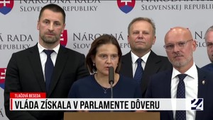 Tlačová beseda SaS k programovému vyhláseniu vlády