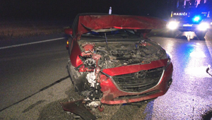 Manželský pár havaroval po zrážke s medveďom. Zásahový tím ho eliminoval