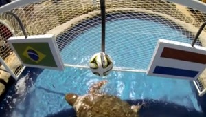 Korytnačka pozná víťaza zápasu medzi Brazíliou a Holandskom!