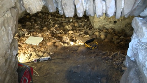 V žilinskej katedrále odhalili veľmi vzácny nález, ktorý nikto nečakal