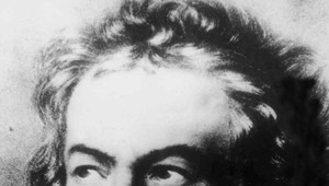 Ludwig van Beethoven a kaštieľ v Dolnej Krupej