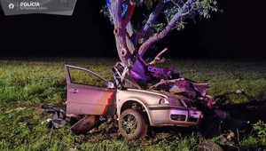 Tragická nehoda pri Štúrove: O život prišli mladí ľudia