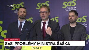 Tlačová beseda SaS: Problémy ministra Šaška