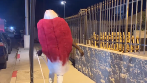 Najšialenejší halloweensky kostým medzi celebritami?! Táto hviezda šla za použitý tampón!