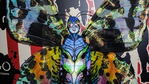 Ktorá krásna modelka sa premenila na obrí hmyz?