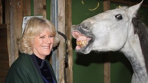 Kto má krajší úsmev?