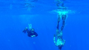 Stratené lietadlo hľadajú v podmorských Himalájach