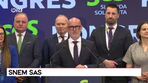 Tlačová beseda SaS po sneme strany