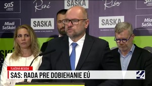 Tlačová beseda strany SaS o rade pre dobiehanie
