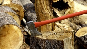 Mladíci rúbali drevo. Dôchodca (63) do nich začal strieľať