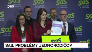 Tlačová beseda SaS: Definícia jednorodičovských rodín