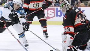 Hossove dva body Chicagu nestačili proti žralokom