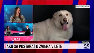 Štúdio 24 o starostlivosti o zvieratá počas leta
