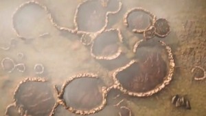 V Južnej Afrike objavili archeológovia dávno stratené mesto