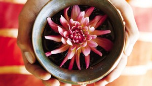 Ako žiť podľa ajurvédy? Pomôže vám super knižná novinka plná tipov a rád