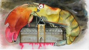 Nový druh krevety fandí Rock´n´Rollu! Meno má po Pink Flloyd