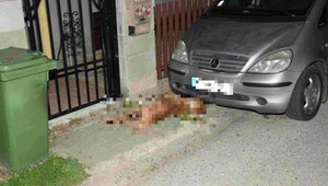 Na cyklistu zaútočil pes. Policajti ho po príchode na miesto museli usmrtiť