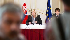 Biznis pre funkcionára SDKÚ už Radičova nerieši...