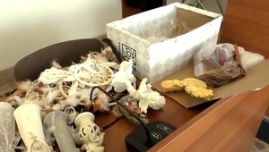 Kauza "veštenie za milión": Muž, ktorý mal mať z toho priamy finančný profit, ide na slobodu