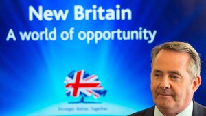 Britskí konzervatívci si vyberali šéfa strany, vyradili Liama Foxa