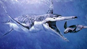 Objavili fosíliu obrovského morského plaza