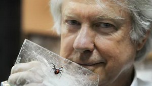 Nočná mora! Tri týždne bol uväznený s nebezpečnými pavúkmi