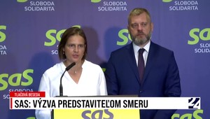 Tlačová beseda strany SaS o výzve predstaviteľom Smeru