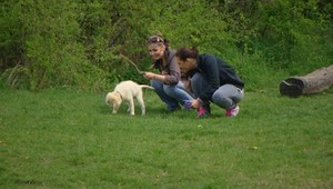 Investor opäť začne na Kráľovej hore povoľovací proces