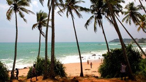 Na Srí Lanke zadržali Slováka a Češku. Zbierali vzácny hmyz