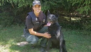 Policajný pes pomohol dolapiť útočníka s nožom