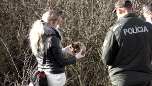 Desivý nález: Muž našiel počas prechádzky ľudskú lebku, policajti dohľadali ďalšie kosti