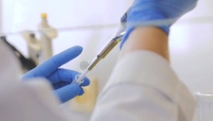 Slovenské vedkyne ocenila medzinárodná porota