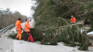 Takto lámal vietor stromy na hornej Orave