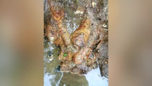 Muníciu vyťahujú z potoka už niekoľko dní. Je stále funkčná a pri neodbornej manipulácii hrozí explózia