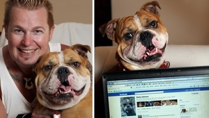 Facebook: Nemá váš pes profil? Ste staromódni...