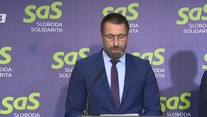 Tlačová beseda strany SaS k "langošovej" kauze