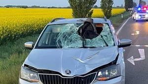 Pri tragickej dopravnej nehode zomrel 26-ročný chodec