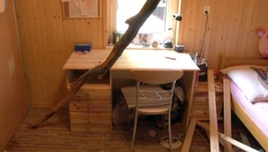 Na dom sa počas búrky zrútili buky, jeden skončil v detskej izbe