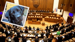 Poslanci zrušili koše na psie exkrementy