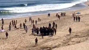 Smrteľný útok žraloka. Mladému surferovi nepomohol ani privolaný lekár