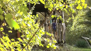 Smrť v potoku: Až pitva určí presnú príčinu úmrtia